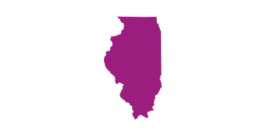 Illinois state icon