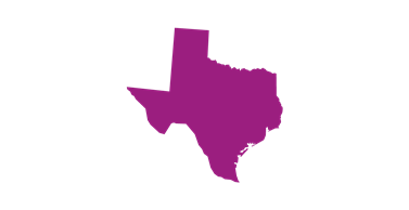Texas State icon