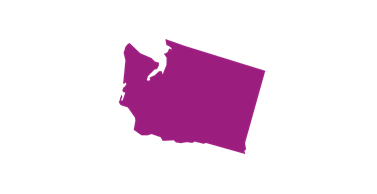 Washington State Icon